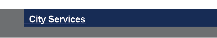  City Services